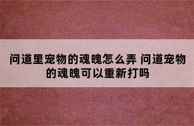 问道里宠物的魂魄怎么弄 问道宠物的魂魄可以重新打吗